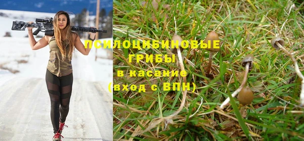 альфа пвп Нягань