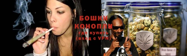 ешки Осинники