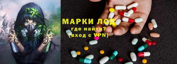 ПСИЛОЦИБИНОВЫЕ ГРИБЫ Остров
