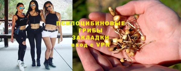 альфа пвп Нягань