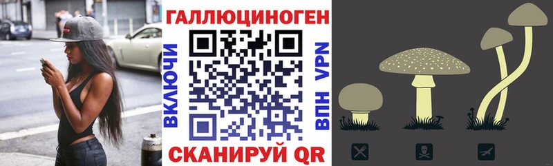 Купить  Киселёвск  Галлюциногенные грибы прущие грибы 